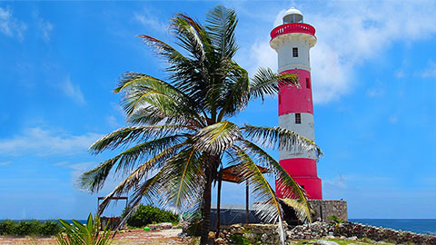 Punta Molas