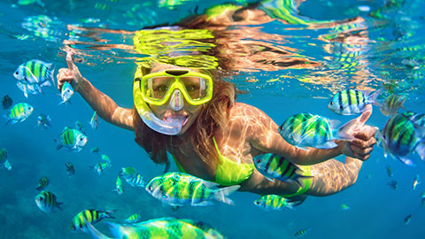 Cozumel reef snorkeling